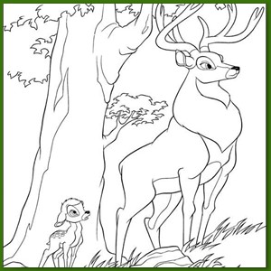Bambi_58