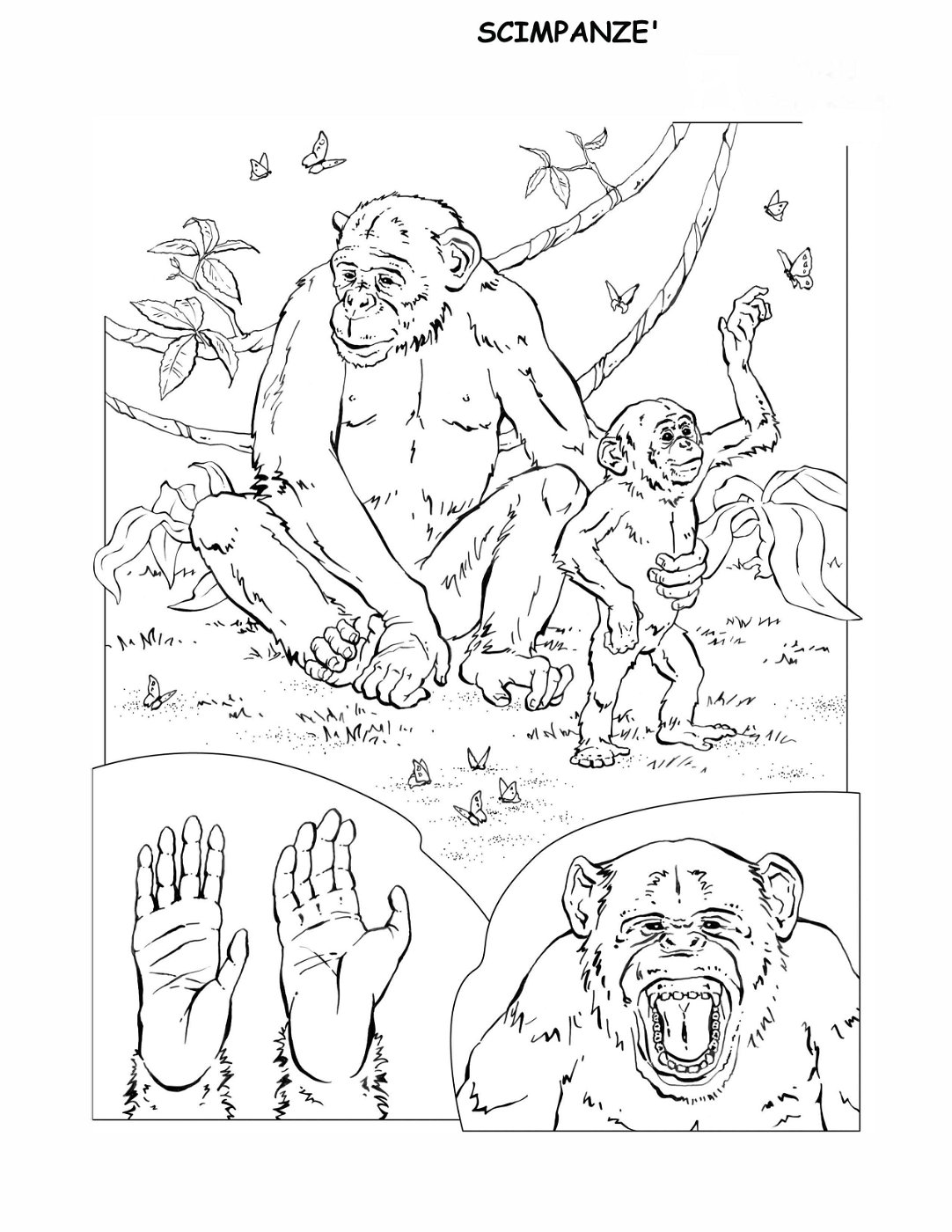 coloring-book-animals A_09