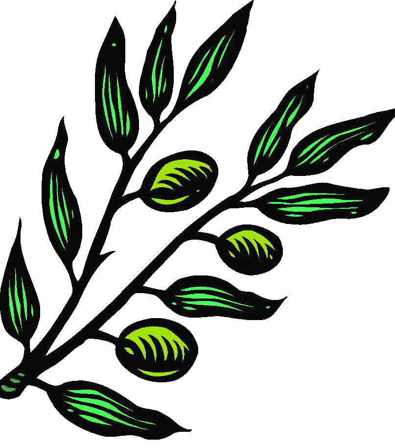 olive tree clip art images - photo #48