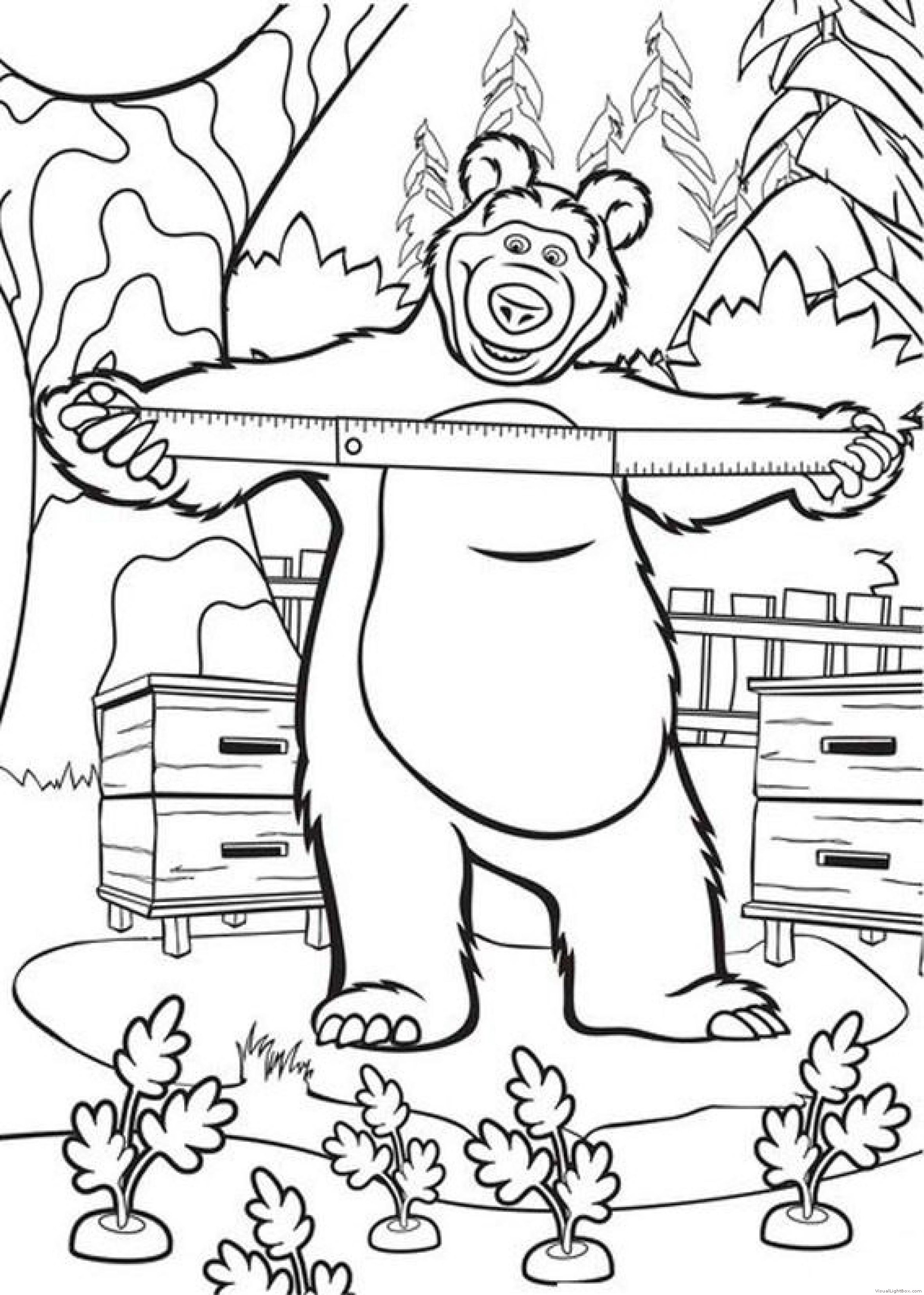 Маша и медведь печать. Раскраска. Маша и медведь. Маша и медведь рисунок. Раскраска мишка из мультика Маша и медведь. Медведь из мультфильма Маша и медведь раскраска.