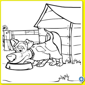 Masha-e-Orso_003