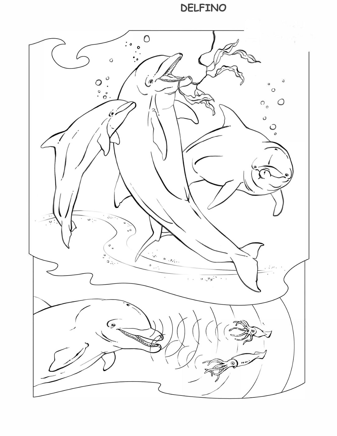 coloring-book-animals A_05