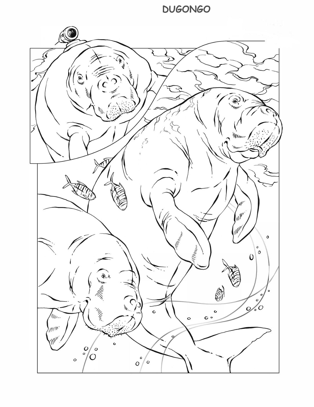 coloring-book-animals A_10