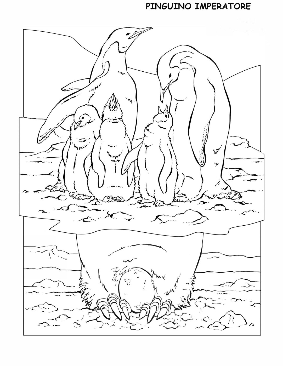 coloring-book-animals A_12