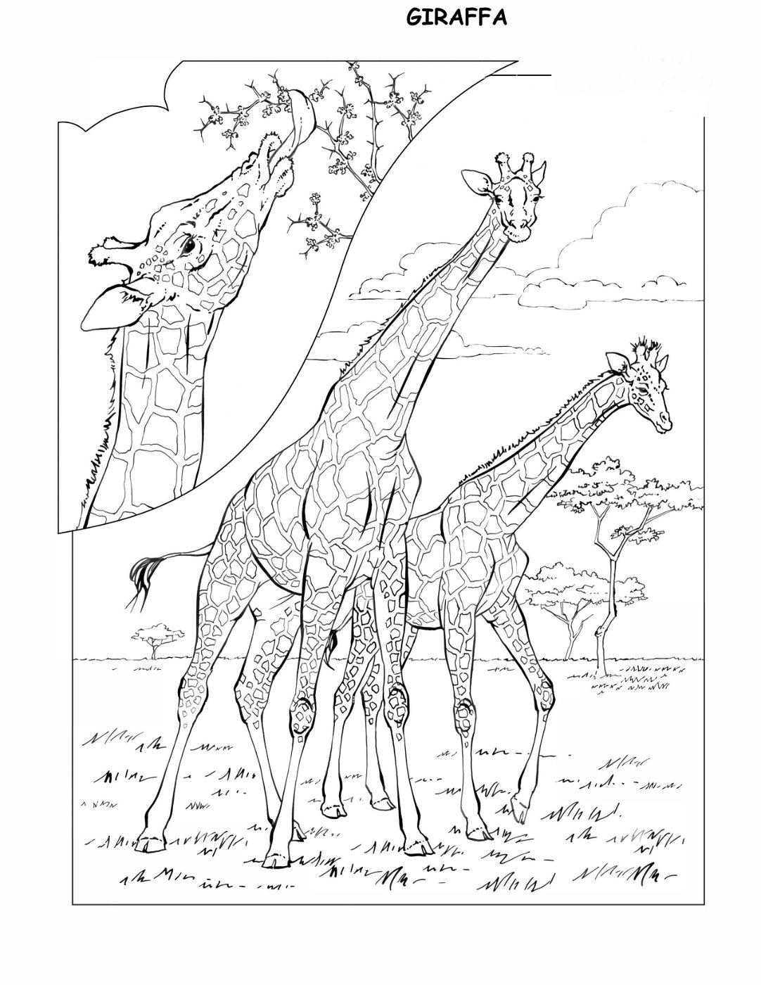 coloring-book-animals A_15