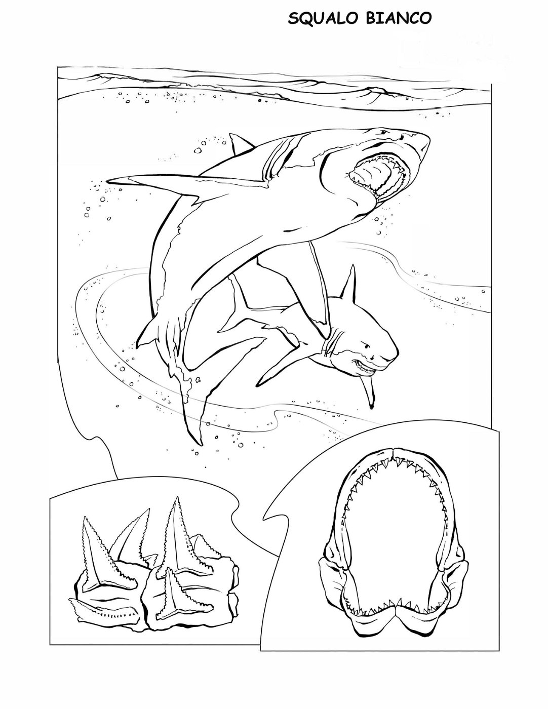 coloring-book-animals A_19