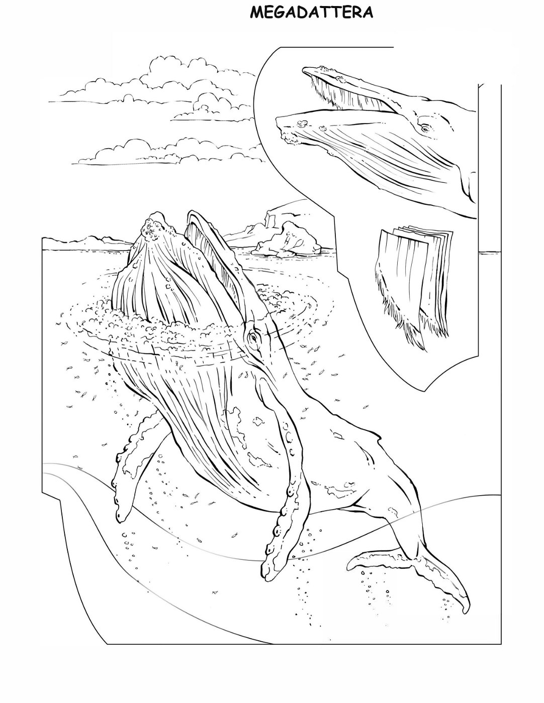 coloring-book-animals A_24