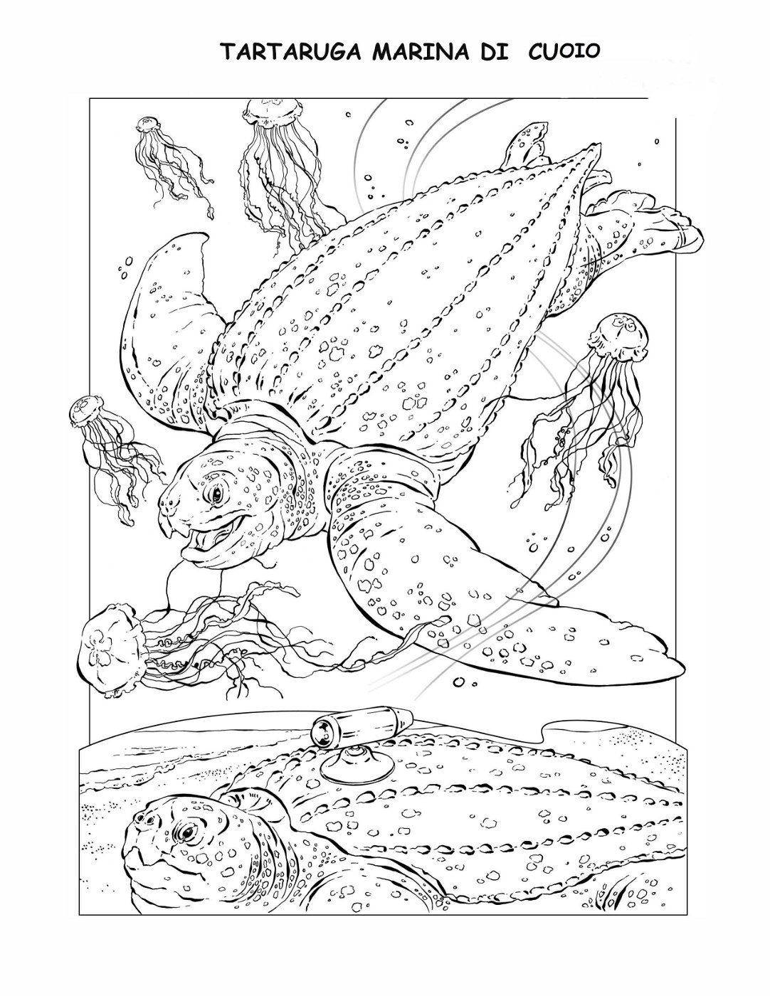 coloring-book-animals A_27