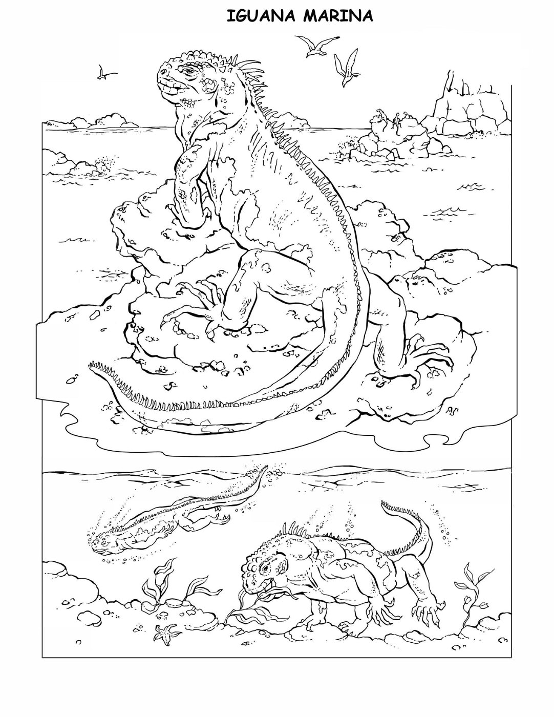 coloring-book-animals A_32