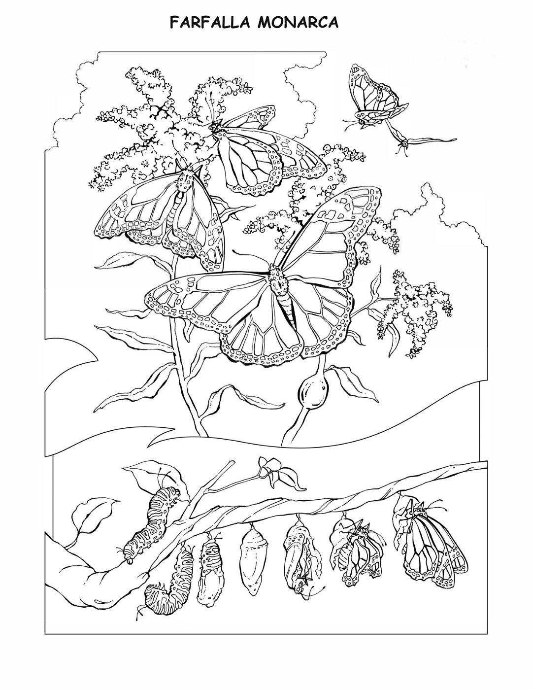 coloring-book-animals A_33