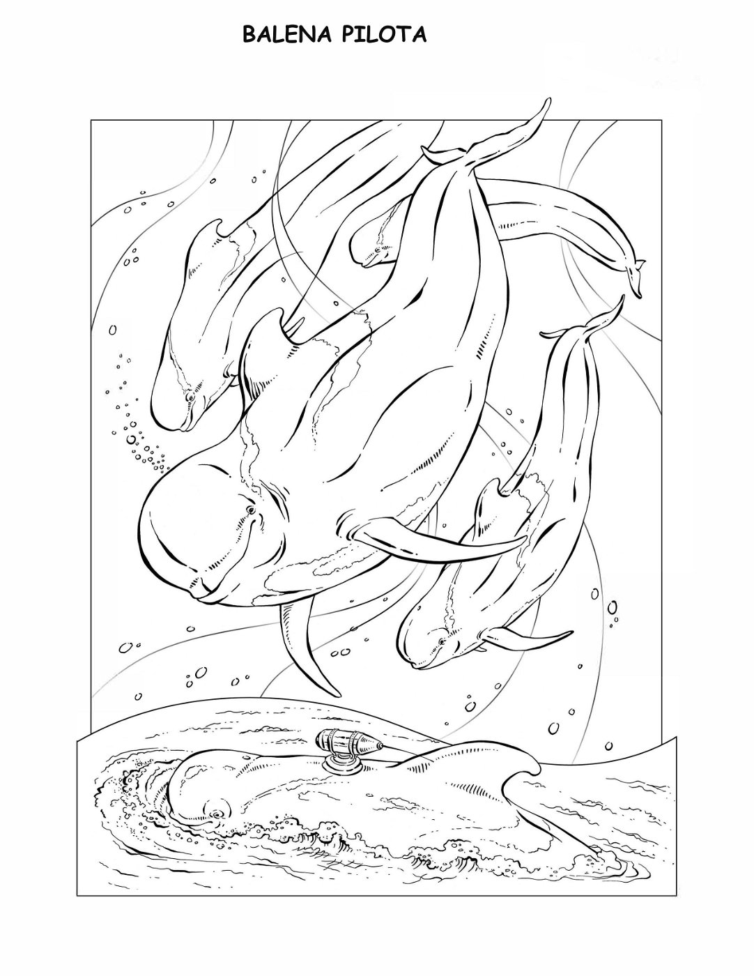 coloring-book-animals A_39