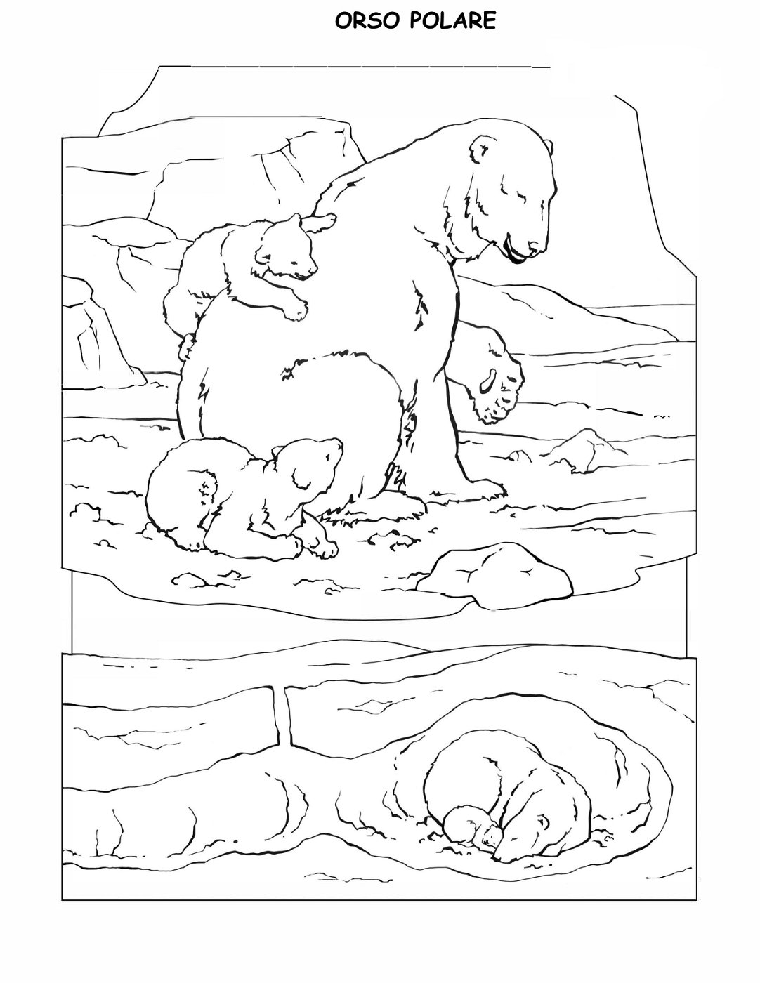 coloring-book-animals A_40