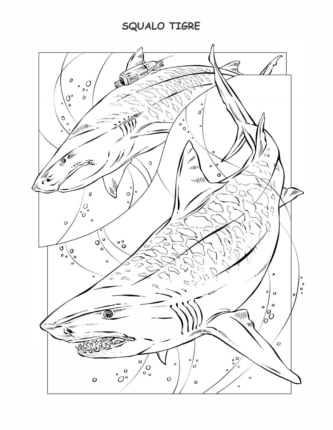 coloring-book-animals A_47